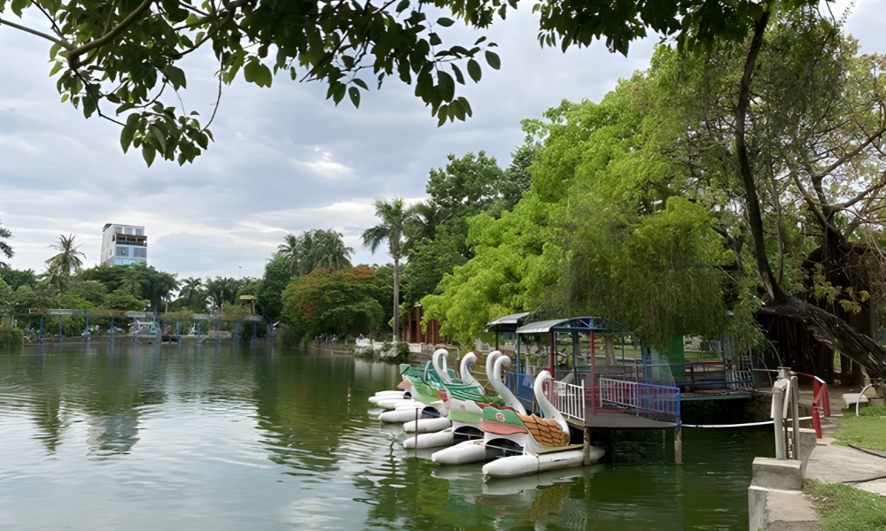 Đạp vịt trên hồ ở công viên 29-3