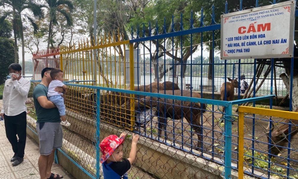 Vườn thú mini tại công viên 29-3