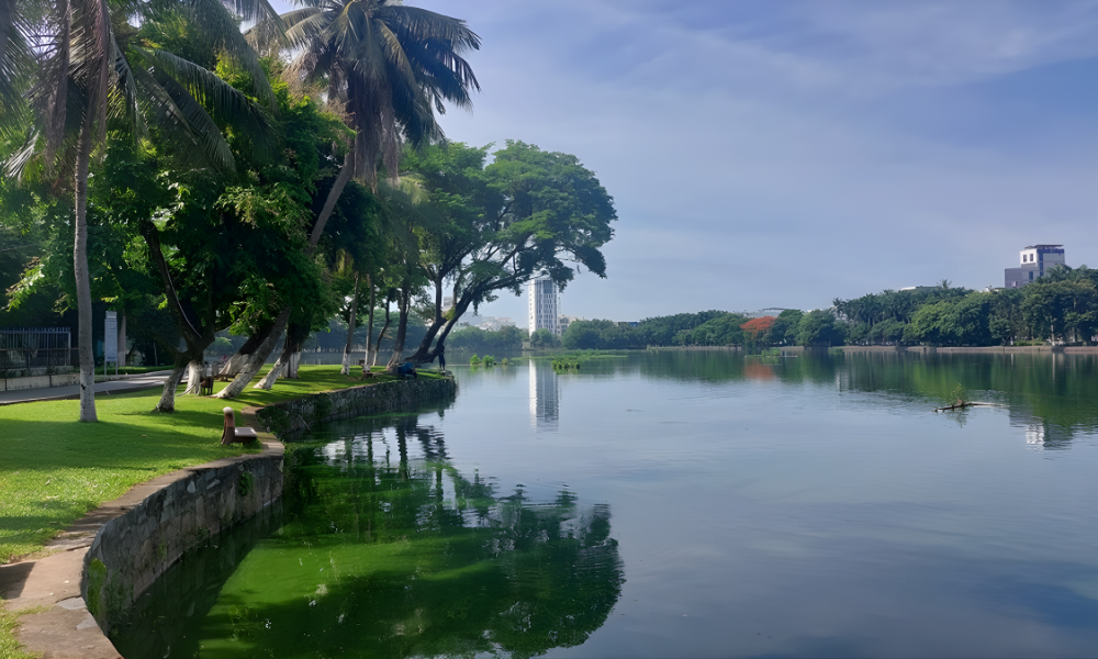 Khung cảnh của công viên 29-3