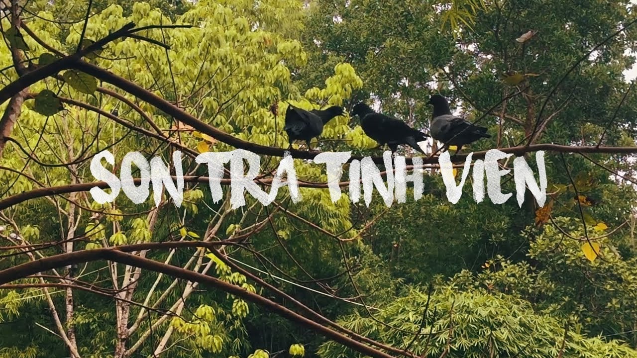 Sơn Trà Tịnh Viên nằm dưới chân bán đảo Sơn Trà Đà Nẵng