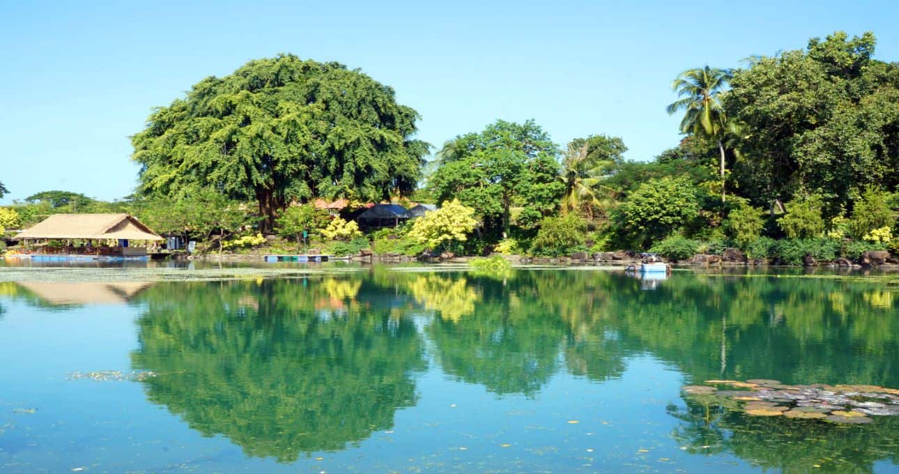 Suối Mơ là một cảnh đẹp Đà Nẵng lý tưởng để thả hồn giữa núi rừng thơ mộng